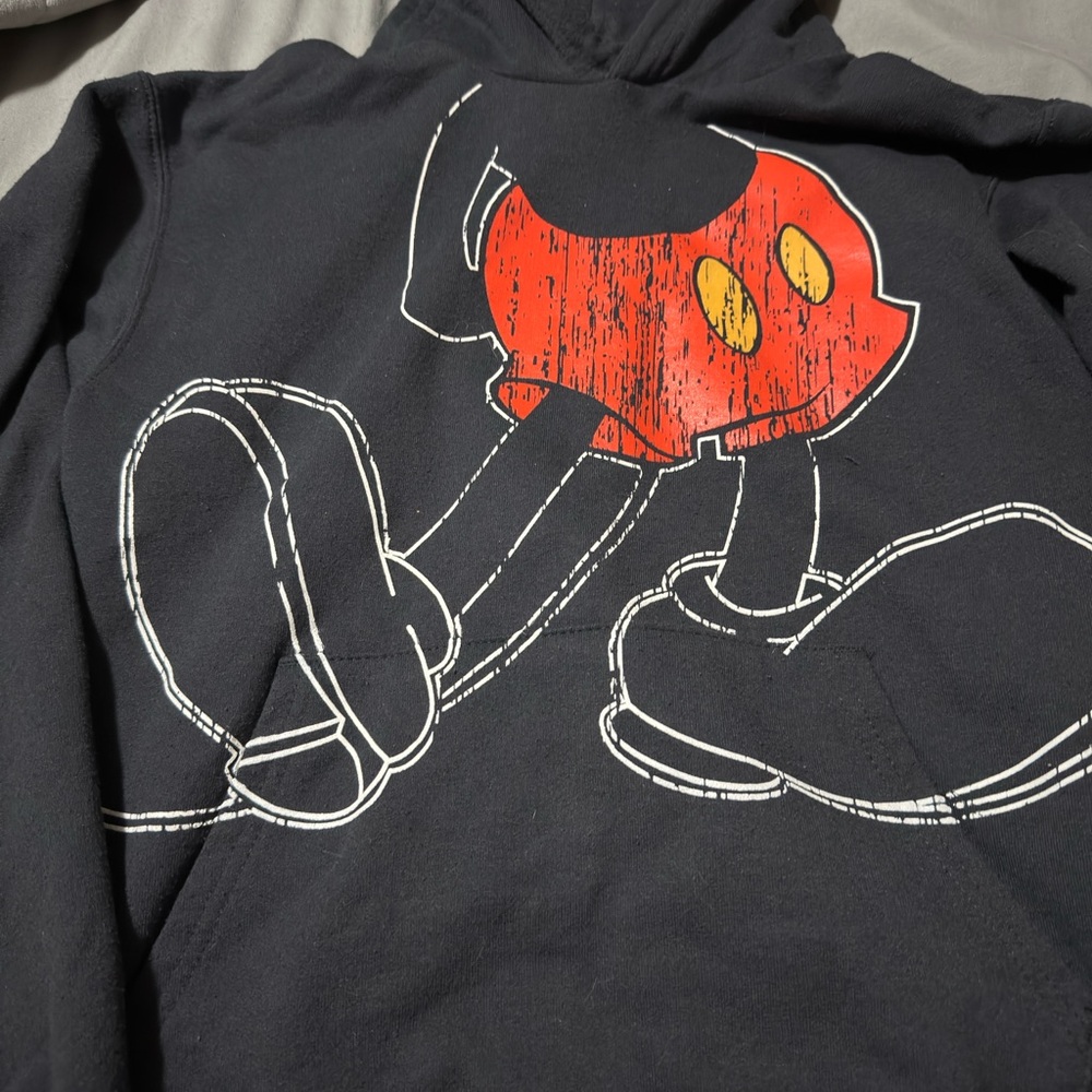 Authentic Disney Parks Hoodie(L)Boy